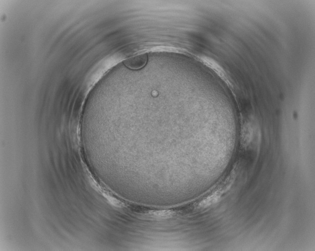 X0000060781282200511171233