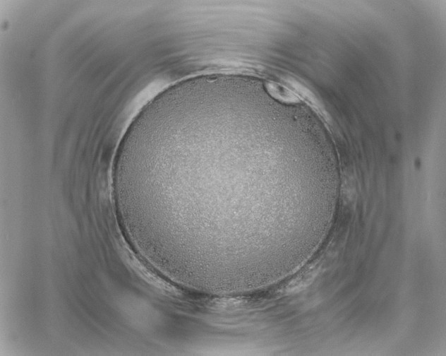 X0000060781283200511171233