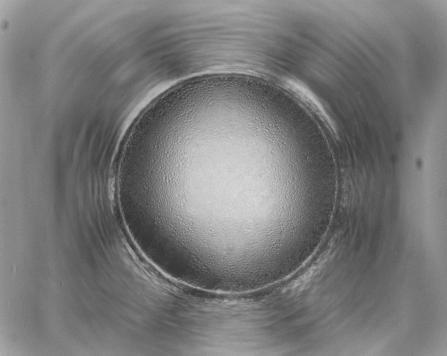 X0000060781284200511171233