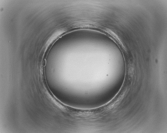 X0000060781285200511171233