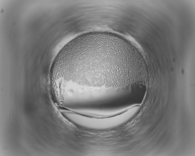 X0000060781287200511171233