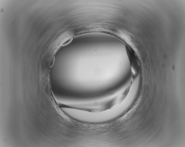 X0000060781289200511171233