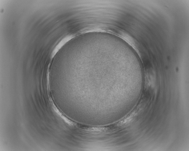 X0000060781290200511171233