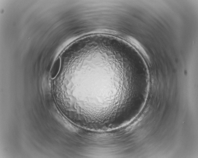 X0000060781292200511171233