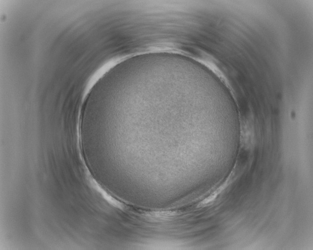 X0000060781294200511171233