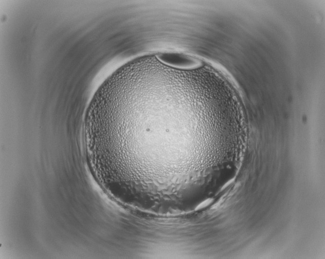 X0000060781295200511171233