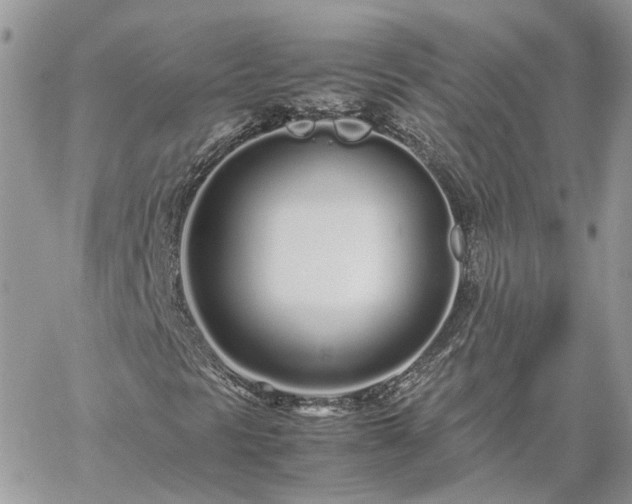 X0000060781297200511171232