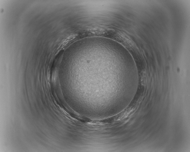 X0000060781298200511171232