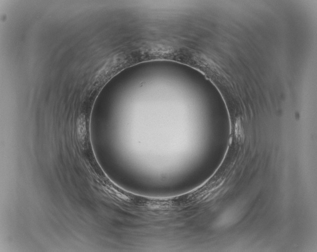 X0000060781299200511171232