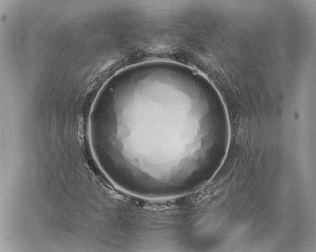 X0000060781301200511171232