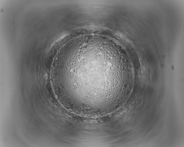 X0000060781302200511171232