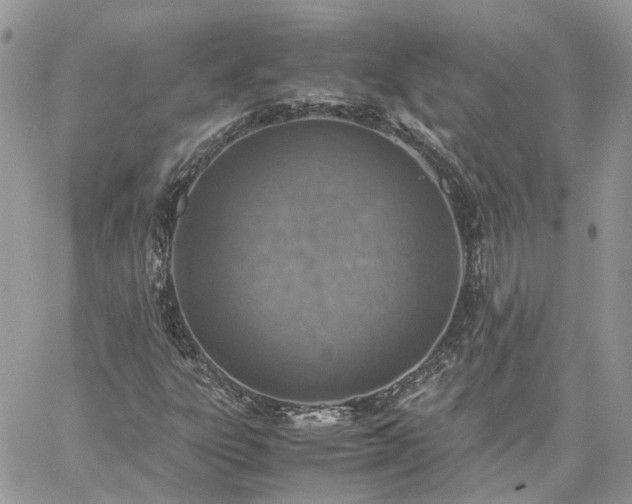 X0000060781303200511171232