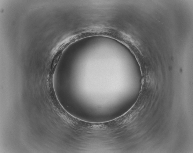 X0000060781304200511171232