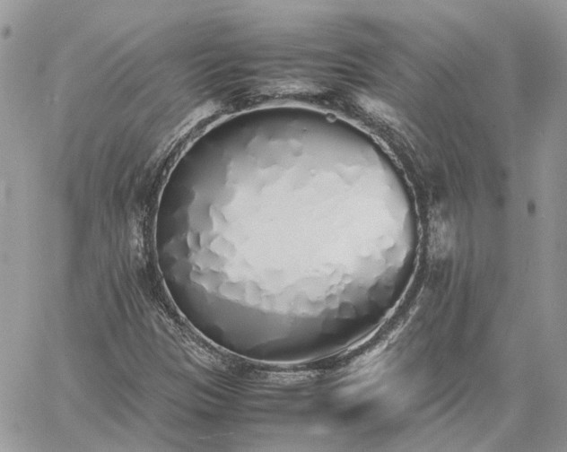 X0000060781305200511171233