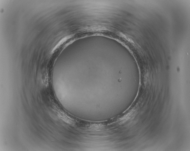 X0000060781306200511171233