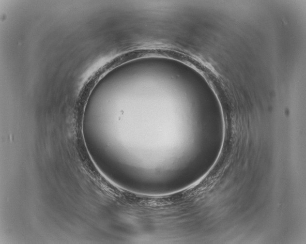 X0000060781311200511171233