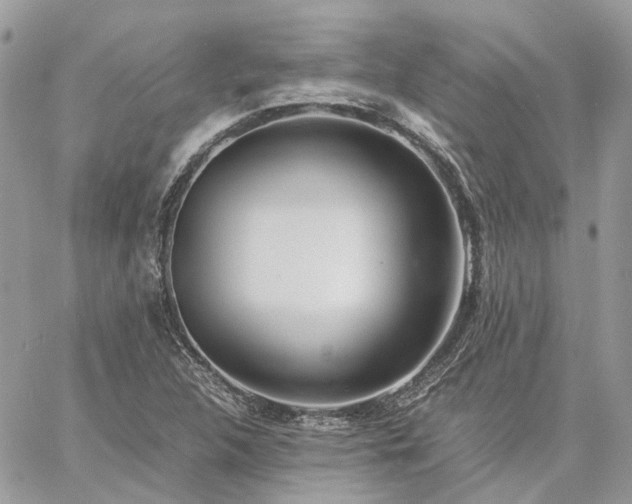 X0000060781312200511171233