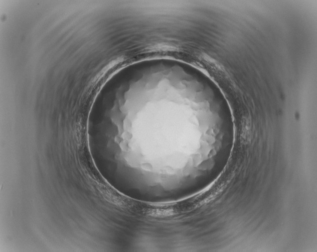 X0000060781313200511171233