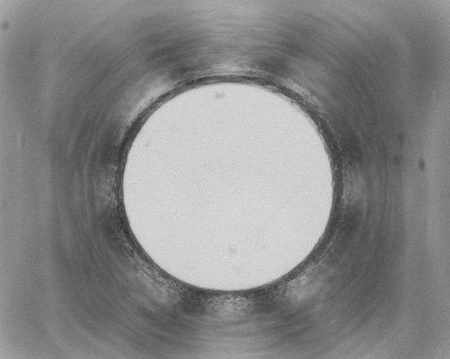 X0000060781314200511171233