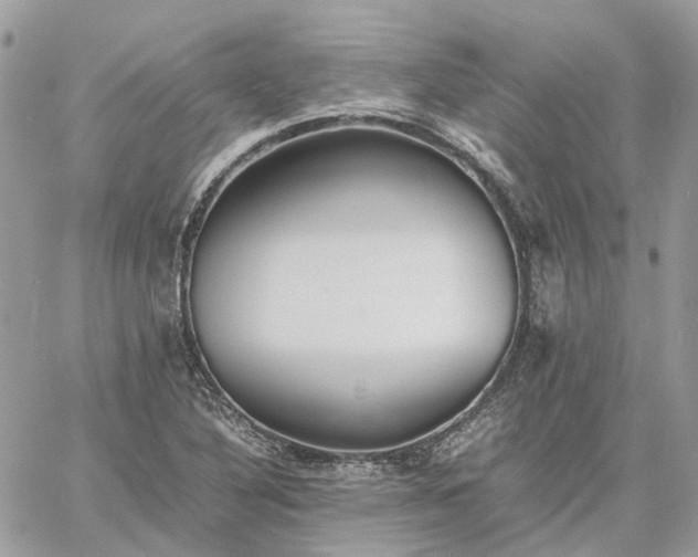 X0000060781316200511171233