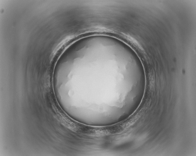 X0000060781318200511171233