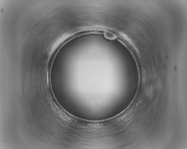 X0000060781320200511171233