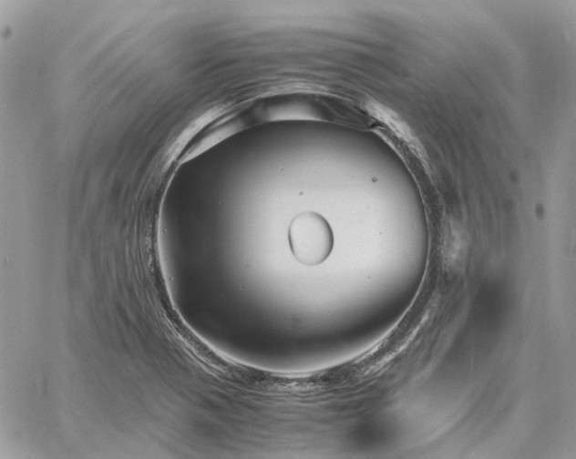 X0000060781321200511171233