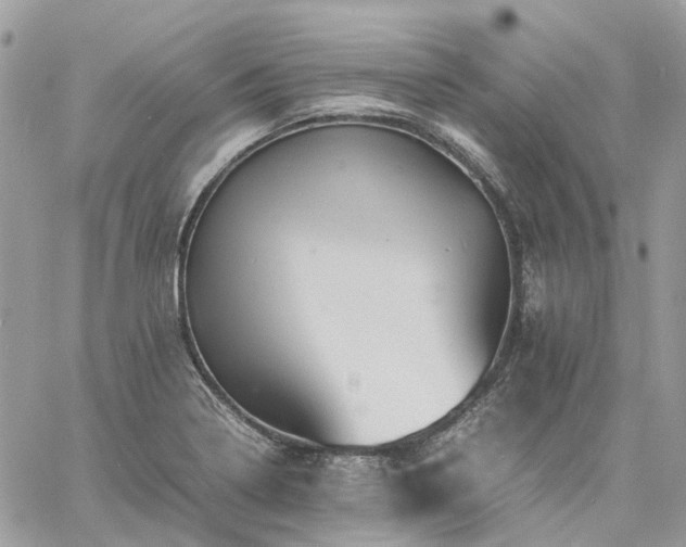 X0000060781322200511171233