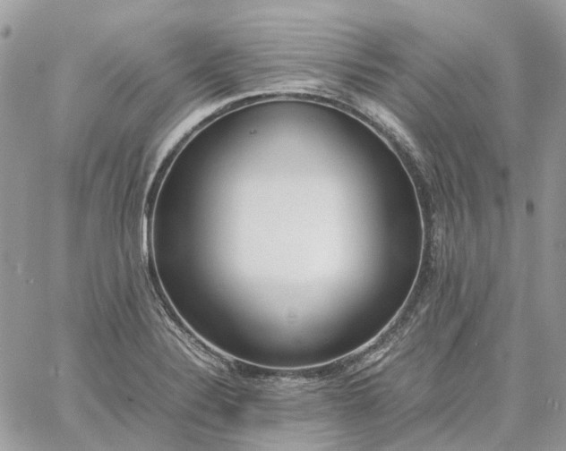 X0000060781324200511171233