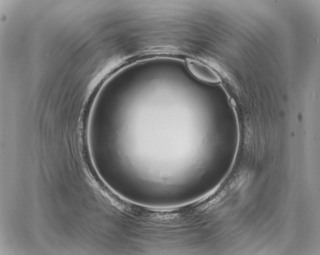 X0000060781325200511171233