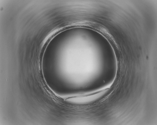 X0000060781328200511171233