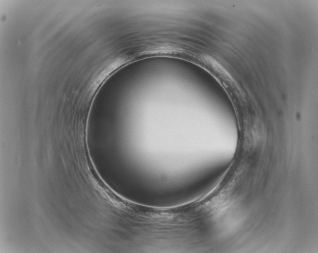 X0000060781329200511171233