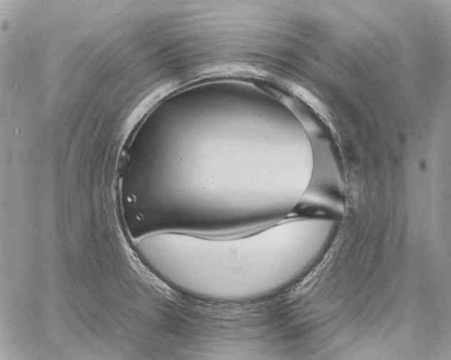 X0000060781330200511171233