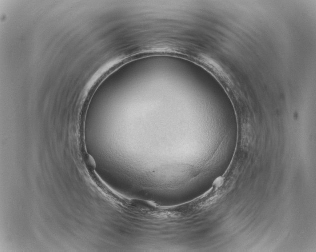 X0000060781331200511171233