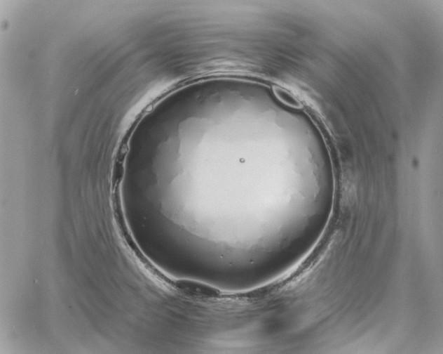 X0000060781333200511171233