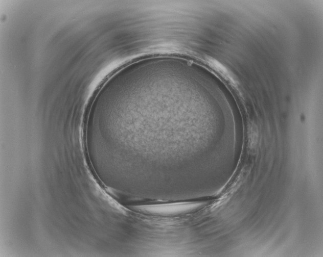 X0000060781334200511171233