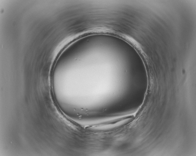 X0000060781335200511171233