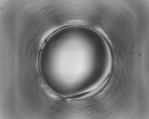 X0000060781336200511171233