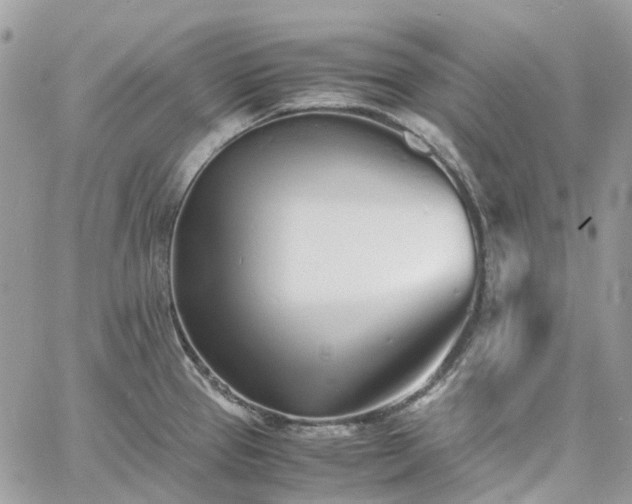 X0000060781337200511171233