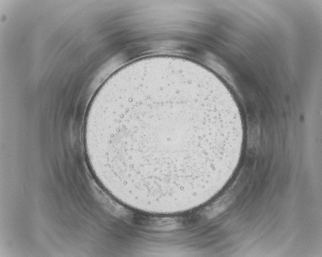 X0000060781338200511171233