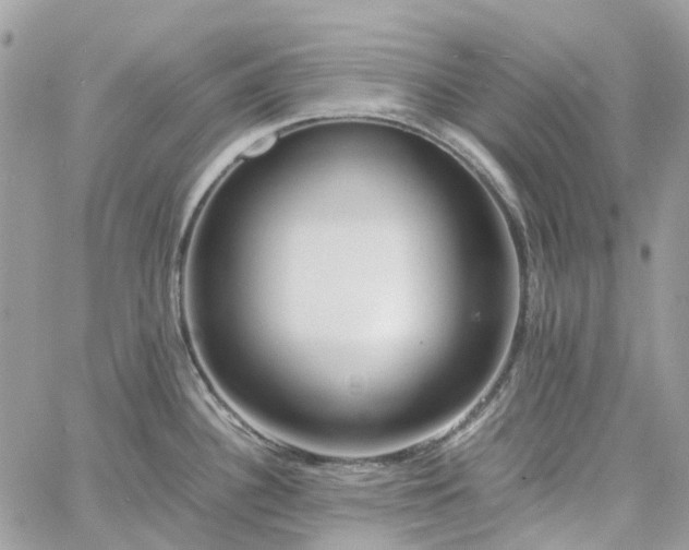 X0000060781340200511171233