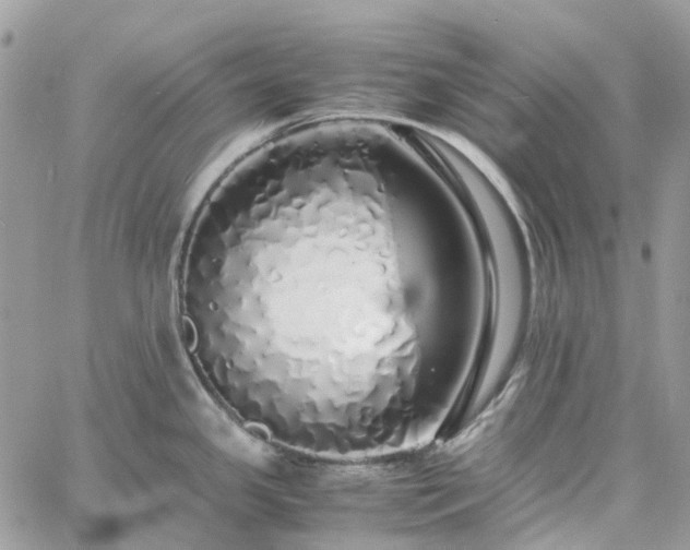 X0000060781341200511171233