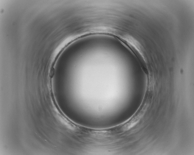 X0000060781342200511171233