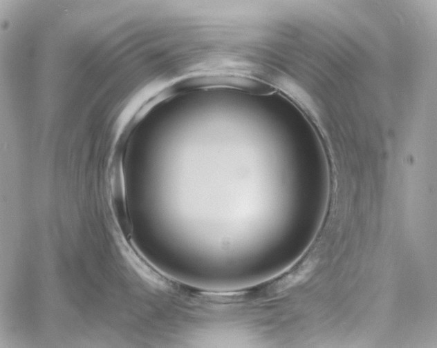 X0000060781344200511171233