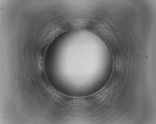 X0000060781346200511171232