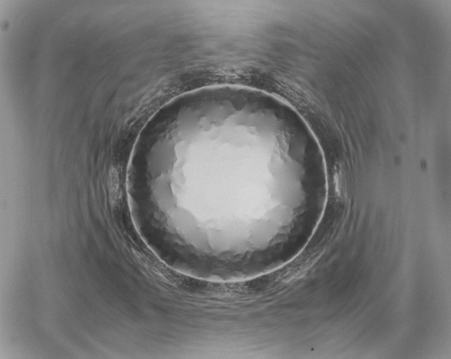 X0000060781347200511171232