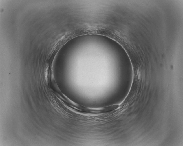 X0000060781348200511171232