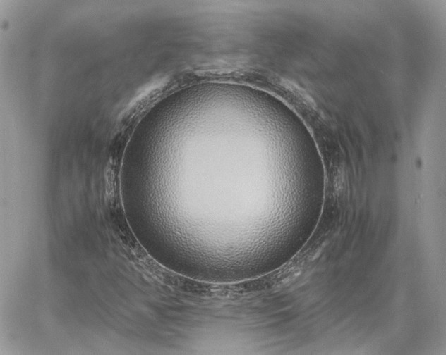 X0000060781350200511171232