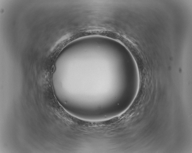 X0000060781351200511171232