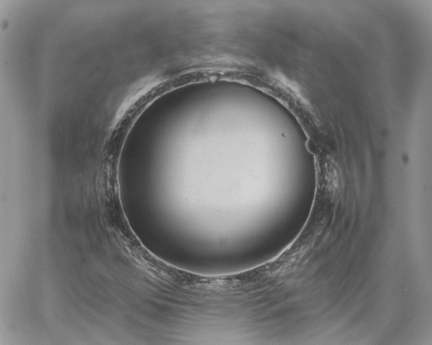 X0000060781352200511171232